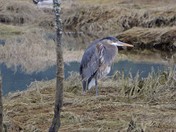 ..now I lay me down to sleep, pray like hell I don't get blown over