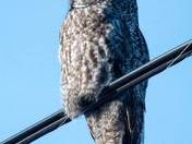 Chilling out in the Cariboo