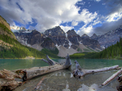 Moraine Lake Driftwood