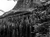 Invincible Immensity 