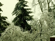 Toronto Ice Storm, 2013