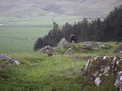 A Pasture in Scotland