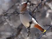 Reaching for the Prize