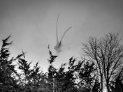 Windmill in Cogen Station Mist Through Trees