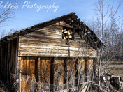 The rustic woodshed