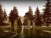 More Like River In The Park