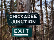 Chickadee Junction