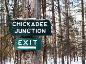 Chickadee Junction