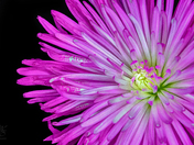 Imperfection is Beauty