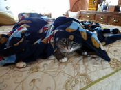 The Latest Smokey Shot