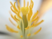 Finding Love in Nature