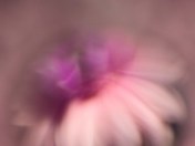 Abstraction In Water