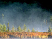 Misty Sunrise at Costello Creek