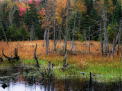 Impression of a rainy day