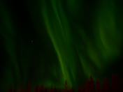 Athabasca Northern Lights 