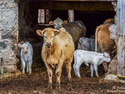 Are You Looking at Me