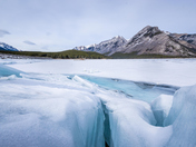 winter landscapes from Alberta
