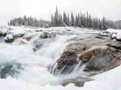 winter landscapes from Alberta
