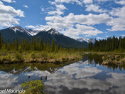 Vermilion Lakes on a warm spring like day 