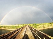 A Glimpse of Colour on a Grey Evening