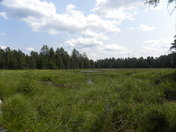 Algonquin Provincial Park