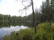 Algonquin Provincial Park