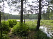 Algonquin Provincial Park