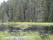 Algonquin Provincial Park