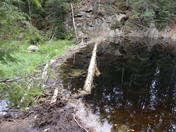 Algonquin Provincial Park