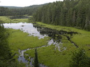 Algonquin Provincial Park