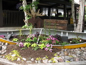 Algonquin Provincial Park