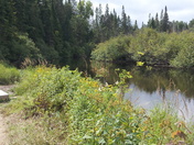 Algonquin Provincial Park