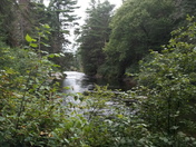 Algonquin Provincial Park