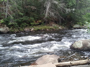 Algonquin Provincial Park