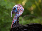 Ugly can be beautiful