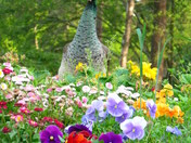 Flowers and the Peahen