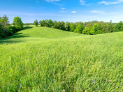 Rolling grass hills under a blue sky