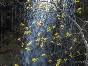 Bridal Veil Falls, Kagawong