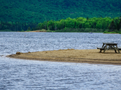 A little sand a little water a little lunch