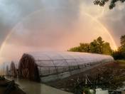 Beauty After the Storm