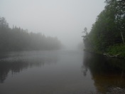 River Fog