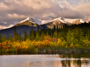 Color of the Rockies