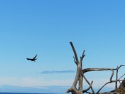 Naikoon Provincial Park