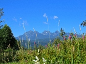 Peeking at the Peaks