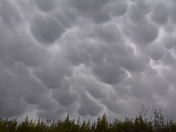 Mammatus clouds