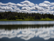 Cloudy Reflections