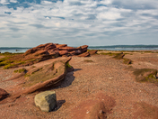 Fundy Sculptures
