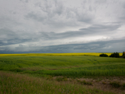 Stormy Alberta Summer 