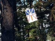 Newfoundland flag