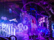 Calgary Stampede 2016